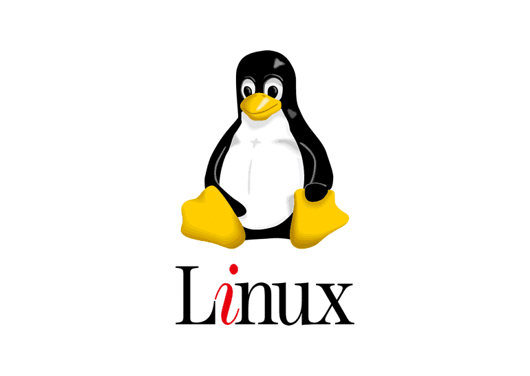 Linux что означает символ